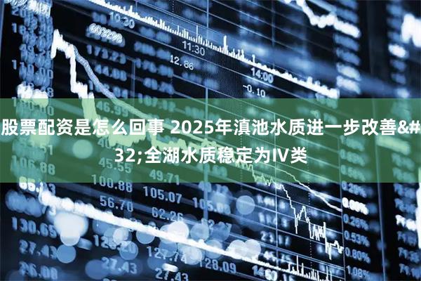 股票配资是怎么回事 2025年滇池水质进一步改善 全湖水质稳定为Ⅳ类